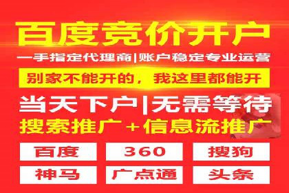 SEM托管服务，实战案例深度剖析